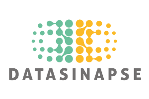 Data Sinapse