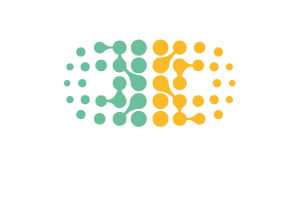 Data Sinapse